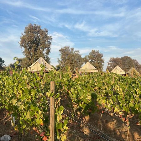 Lago Valle Wine Glamping Valle de Guadalupe Exteriér fotografie
