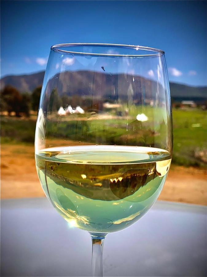 Lago Valle Wine Glamping Valle de Guadalupe Exteriér fotografie
