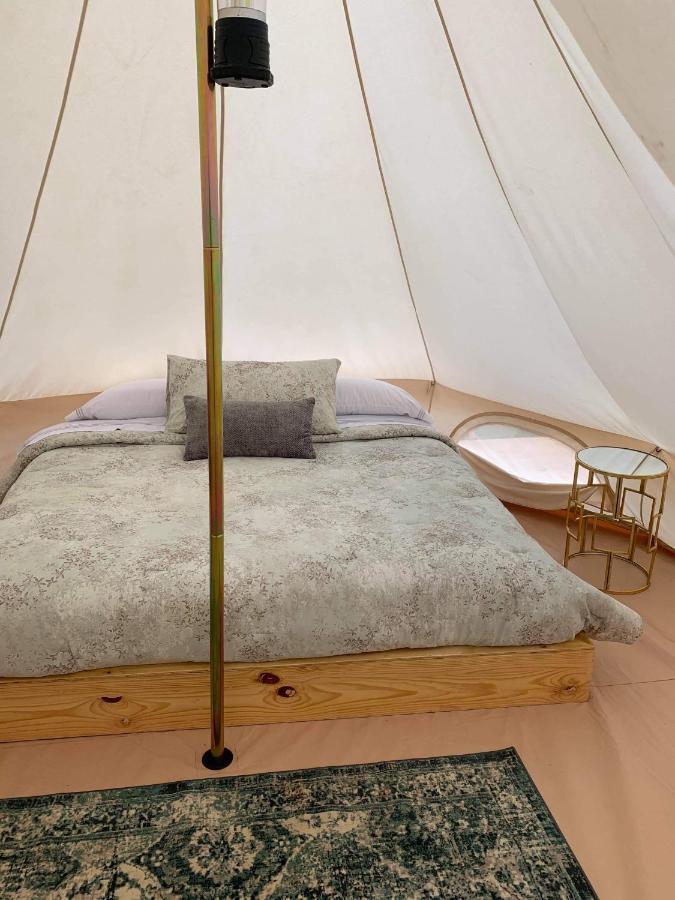 Lago Valle Wine Glamping Valle de Guadalupe Exteriér fotografie