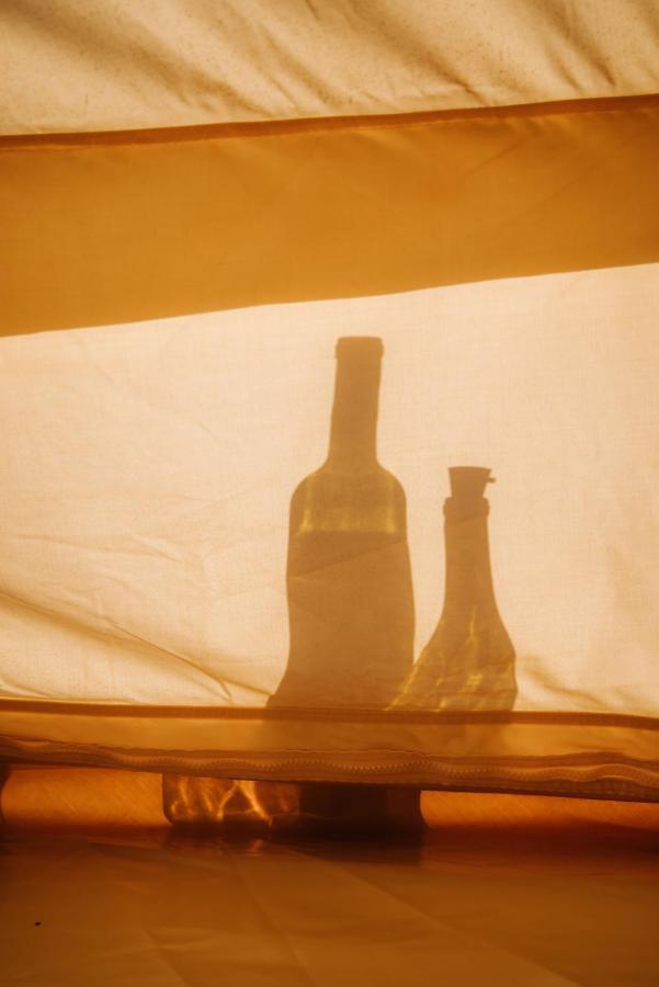 Lago Valle Wine Glamping Valle de Guadalupe Exteriér fotografie