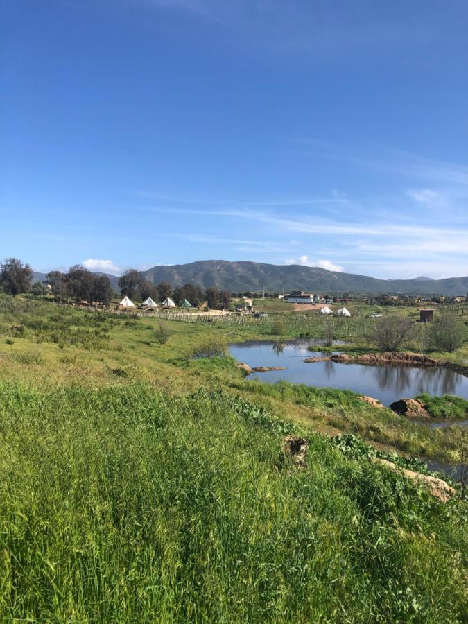 Lago Valle Wine Glamping Valle de Guadalupe Exteriér fotografie