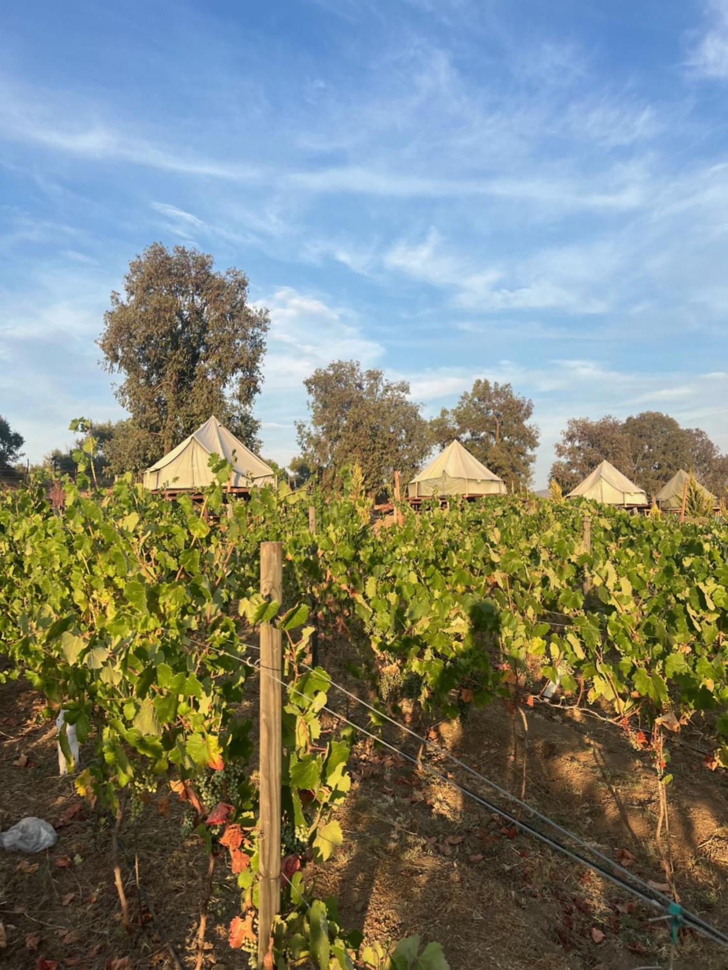 Lago Valle Wine Glamping Valle de Guadalupe Exteriér fotografie